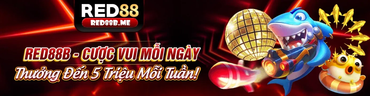 Khuyến Mãi Kingbet Win Hấp Dẫn